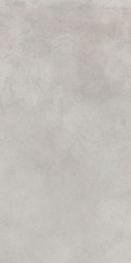 Керамогранит Миллениум Сильвер 60х120, 610010001458
